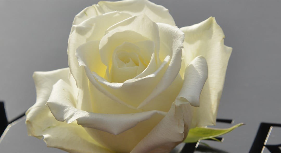 Who Has the Right to File a Wrongful Death Claim in California?