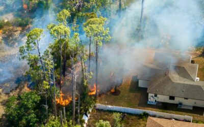 Collective Power Against Corporate Negligence in Regional Environmental Disasters