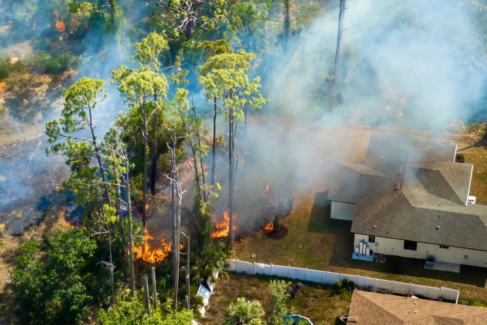 Collective Power Against Corporate Negligence in Regional Environmental Disasters
